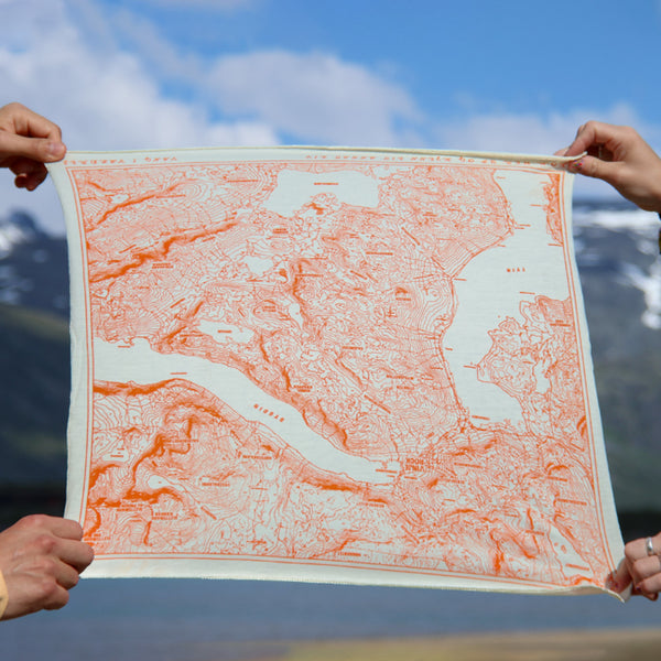 Vinjerock // Bandana